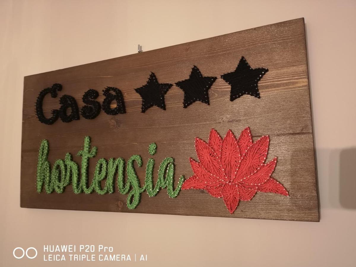 Casa Hortensia Tasnad Eksteriør billede